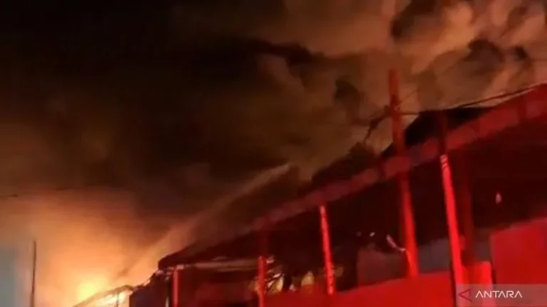 4 Gudang Paket Ludes Terbakar Di Pergudangan Miami Jakarta Barat