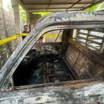 Dendam Cinta Tak Direstui Pemuda Bakar Kandang Sapi Mobil Di Buleleng