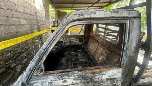 Dendam Cinta Tak Direstui Pemuda Bakar Kandang Sapi Mobil Di Buleleng