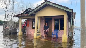 Sebulan Direndam Rob Warga Tunggulsari Pati Gatal Gatal Dan Gelisah