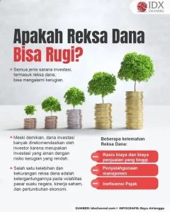 Mengapa Investasi Reksa Dana Saham Bisa Rugi Panduan Risiko Dan Cara Mengelolanya