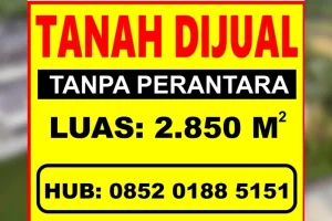 Mengungkap Potensi Keuntungan Jualan Tanah Kosong Panduan Analisis Dan Perhitungan Lengkap