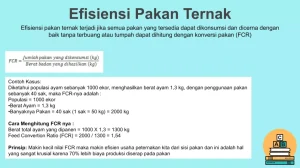 Panduan Lengkap Cara Menghitung Pakan Ternak Ayam Pedaging Untuk Efisiensi Bisnis